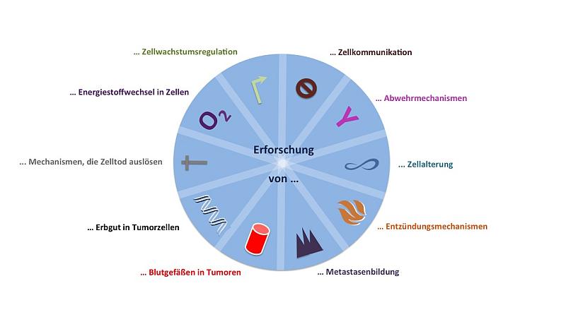 Zellmerkmale-800-neuerRand.jpg